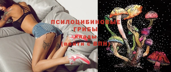 прущие грибы Алзамай