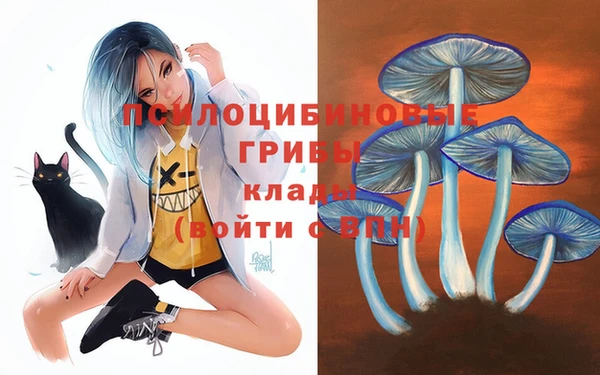 прущие грибы Алзамай
