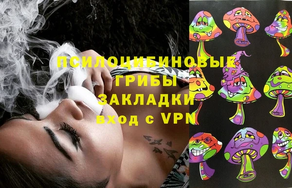 дживик Алексин