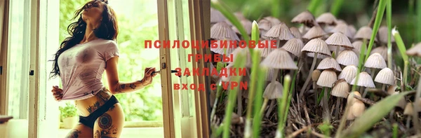 прущие грибы Алзамай
