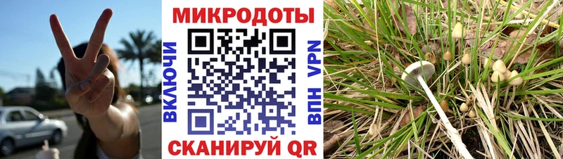 Псилоцибиновые грибы Magic Shrooms  Кемь 